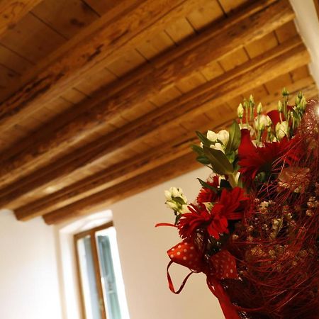 Luzzo 15 Apartman Feltre Kültér fotó